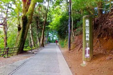 The winding slopes leading up to the peak