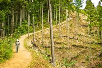 <p>The narrow ridge line leading up to Mount Kagenobu, much of which is exposed</p>