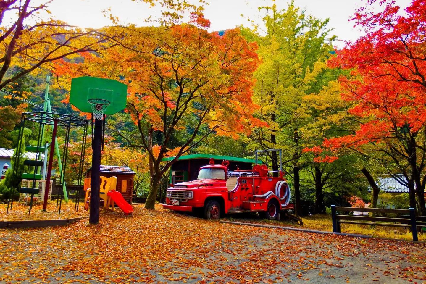 Okutama's Ootama Walking Course