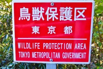 <p>Within this natural wilderness, it`s very easy to forget that you're still in Tokyo, (well at least technically!)</p>