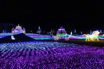 <p>Cinderella's castle and her coach cover the front lawn</p>