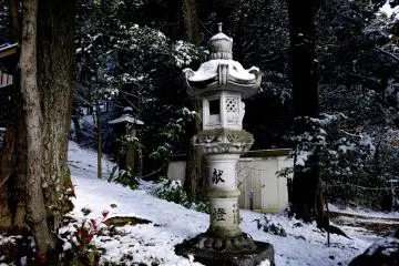 โคมไฟหินยีนเด่นท่ามกลา