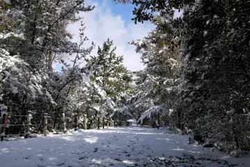 <p>There's something magical about snow! &nbsp;</p>