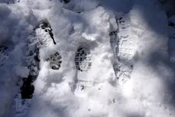 <p>Footprints in the snow</p>