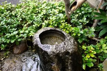 <p>Water basin and bamboo spout</p>
