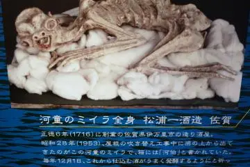 <p>Kappa skeleton</p>