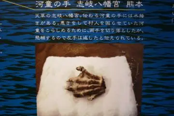 <p>You can see the webbing between the fingers of this kappa hand</p>
