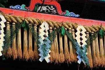 <p>Bunches of rice stalks with the grain still attached hang from the shimenawa rope</p>
