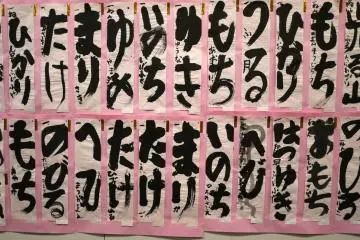 <p>These are the work of young children</p>