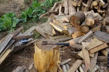 <p>Nothing like a bit of outdoor work to build up an appetite</p>