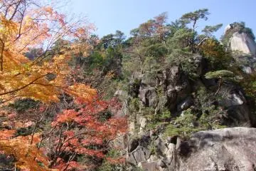 <p>Glorious colors</p>