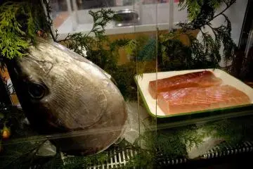 FoodEx Fish