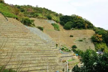 <p>Bantuan dari pemerintah dan kerjasama penduduk setempat membuat tempat ini dapat dipertahankan kelestariannya</p>