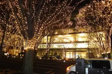 <p>The Mediatheque building&nbsp;reflects the illuminations</p>