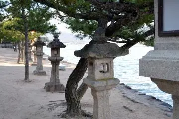 <p>Lentera-lentera batu dan pohon-pohon di pantai</p>