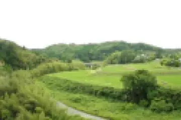 Beautiful landscape