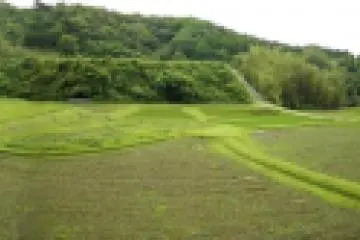 Looks like a well-manicured golf course