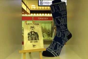 <p>100th Anniversary Tokyo Station socks</p>
