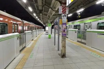 <p>Pick your train, green or red-brick brown?</p>
