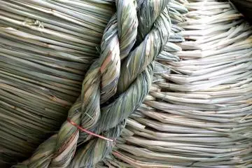 <p>Details of the straw rope</p>