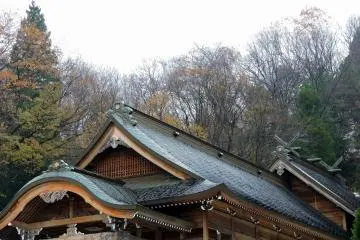 <p>Beautiful roofs of Izumo Shrine's Fukui branch</p>