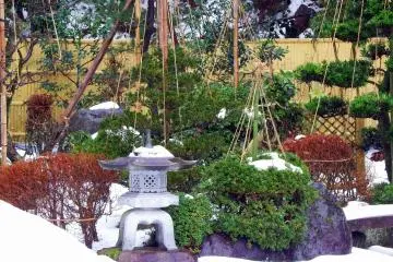 <p>Closer look at the Japanese garden in snow</p>