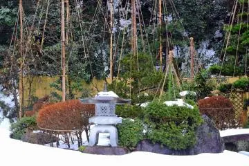<p>Beautiful snow protections covering the trees in the garden</p>