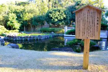<p>In June, this pond will bloom with 2-million lotus flower plants</p>