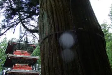 The famous pagoda just outside the Tosho-gu gates