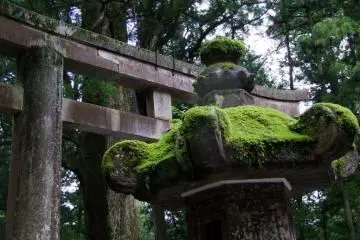 Early in the morning in the rain, the Tosho-gu torii were beautiful and majestic