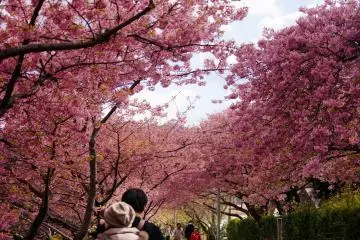 Photo: Yoshiko Okamoto
