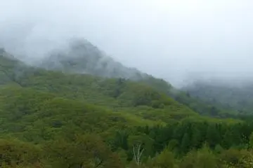 안개에 덮힌 산들