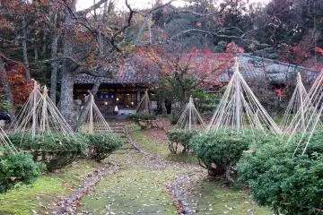 <p>Avec leurs protections contre la neige, les arbres du parc sont pr&ecirc;ts &agrave; accueillir l&rsquo;hiver</p>