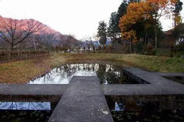 <p>L&rsquo;&eacute;tang des lotus bien triste en hiver</p>