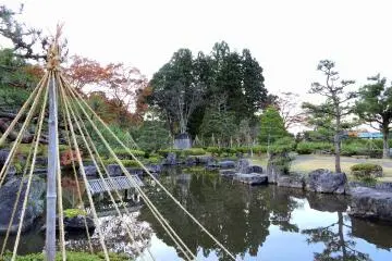 <p>Vue sur l&rsquo;&eacute;tang et le jardin du parc&nbsp;</p>