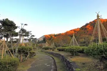 <p>Le paisible chemin du parc Ajimano-en avec la montagne color&eacute;e en fond</p>