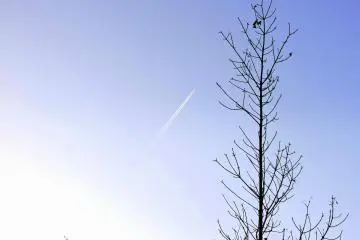 <p>Un ciel bien bleu au jardin Echizen Ajimanoen</p>