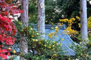 Prayer hall surrounded by colorful trees