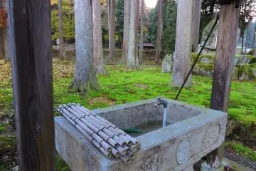 <p>Water purification font doesn't have water in its basin</p>