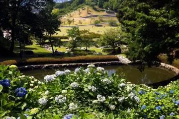 Pleasant gardens