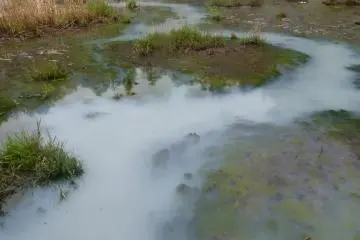 The fountainhead water is rich in sulphur.