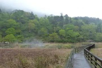 Wooden path leading to the fountainhead.