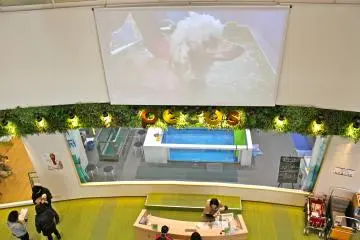 <p>Pecos is the large pet shop at the Pet Mall that not only offers supplies, but water therapy for dogs that must be rehabilitated.</p>