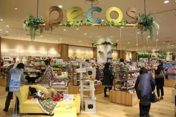 <p>Pecos is the major pet store here that provides supplies, fashion, grooming, training, and a medical center.</p>