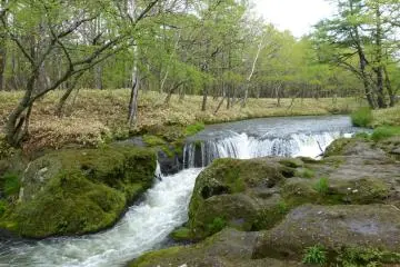 Trekking trail along the river above the falls.