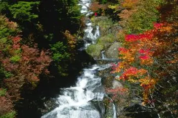 The falls in the autumn.
