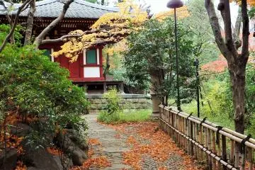 <p>The garden in autumn</p>