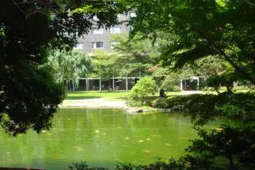 <p>The trees in the garden are lush in the summer time.</p>