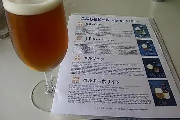 a lovely English style IPA - India Pale Ale (Photo: Mark Buckton)