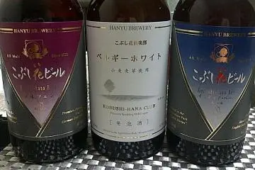 L-R - Marzen, Belgian White, IPA (Photo: Mark Buckton)